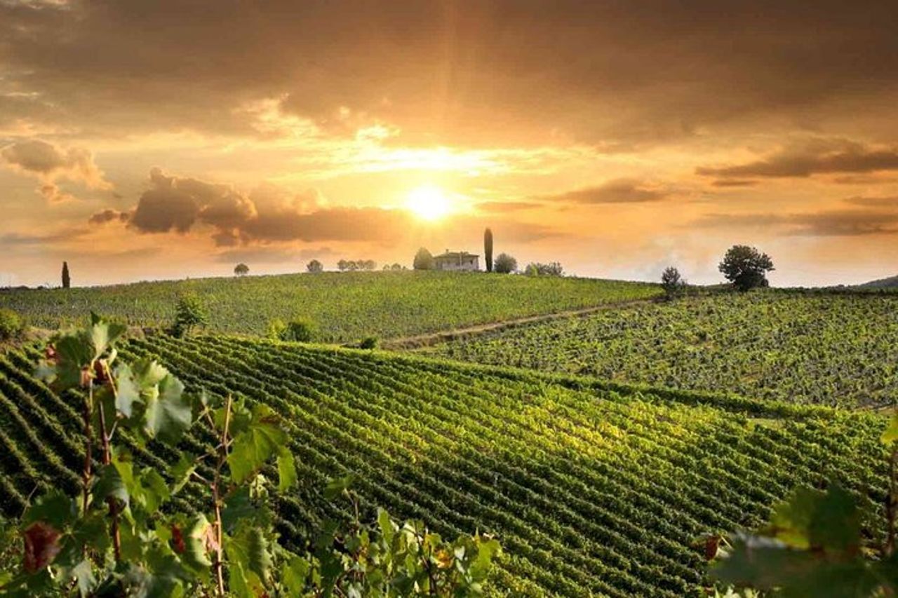 Degustazione di vini e formaggi Costa toscana meridionale Escursione dal porto di Civitavecchia