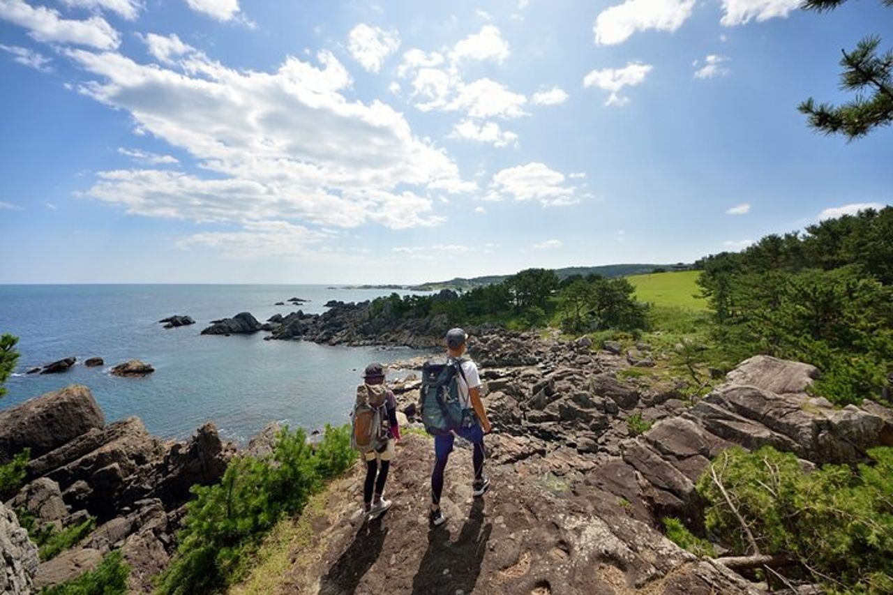 Gita privata di un'intera giornata a Hachinohe con guida autorizzata dal governo — 3
