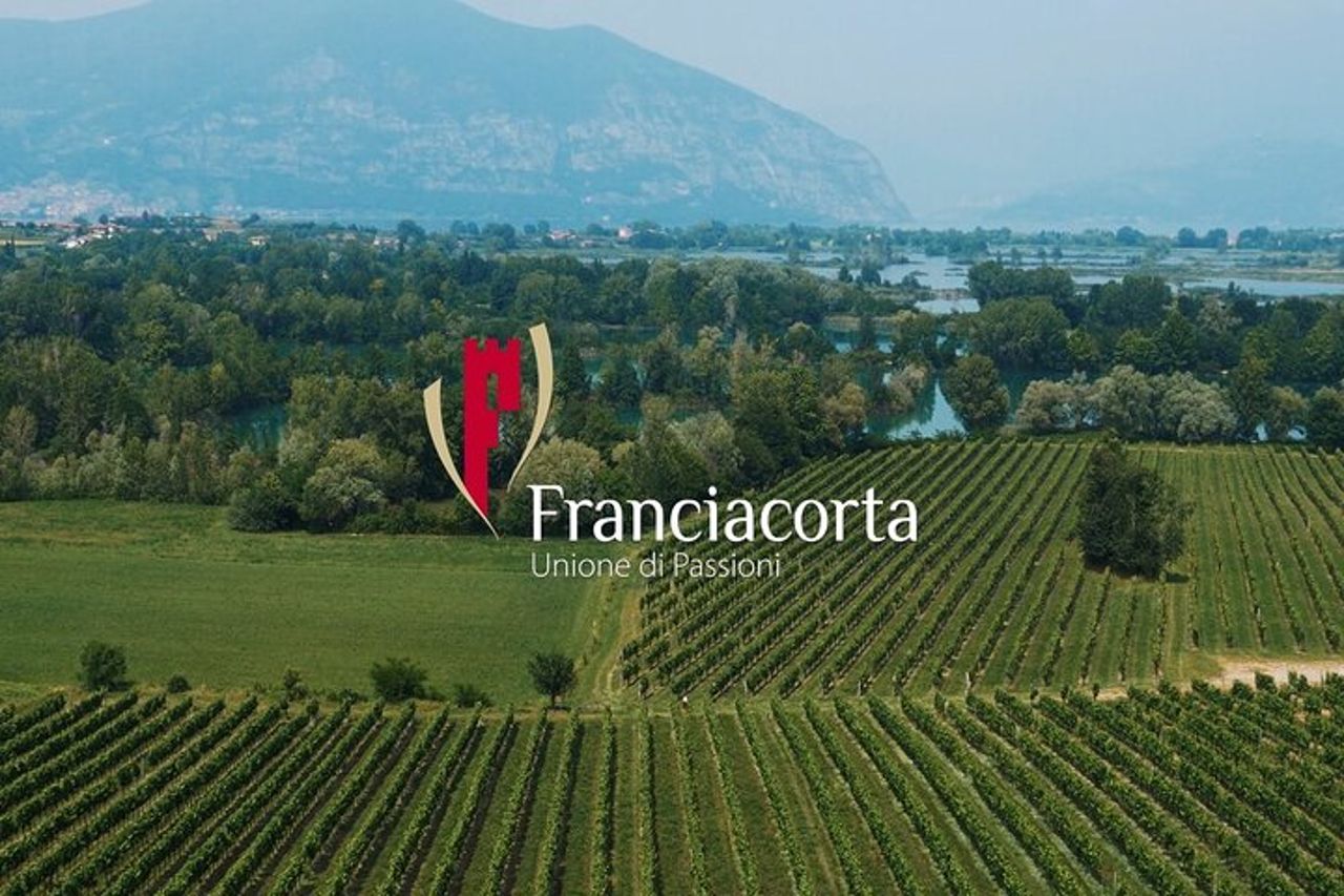 Wine Tour in Franciacorta da Milano — 3
