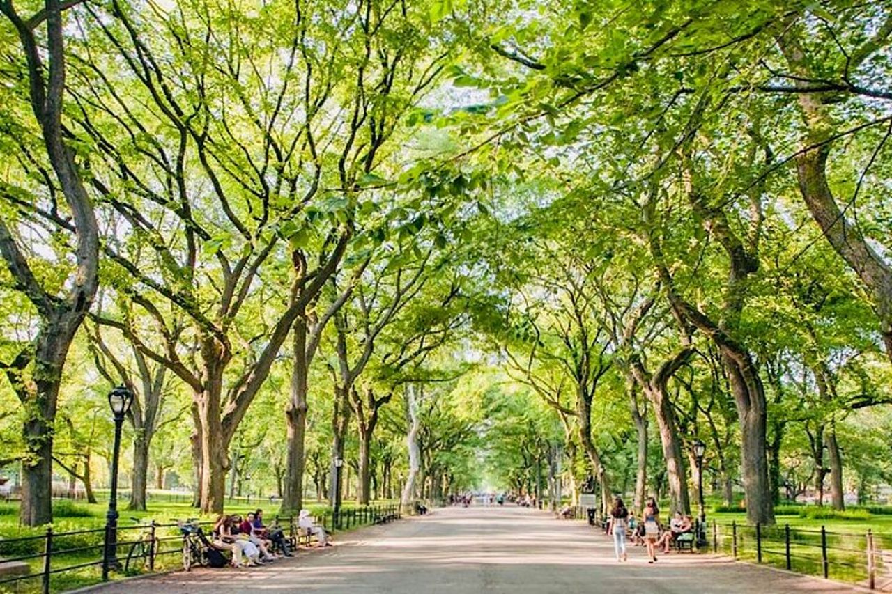 Hotel vicino a Central Park — 8