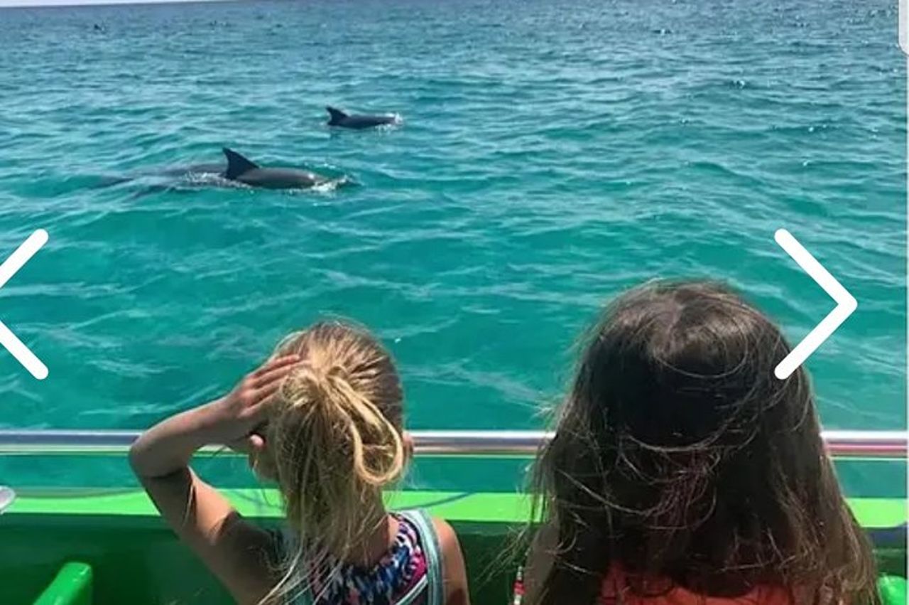 Crociera con delfini a Destin FL — 6