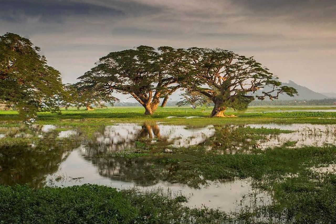 Pesca nel lago a Tissamaharama — 2