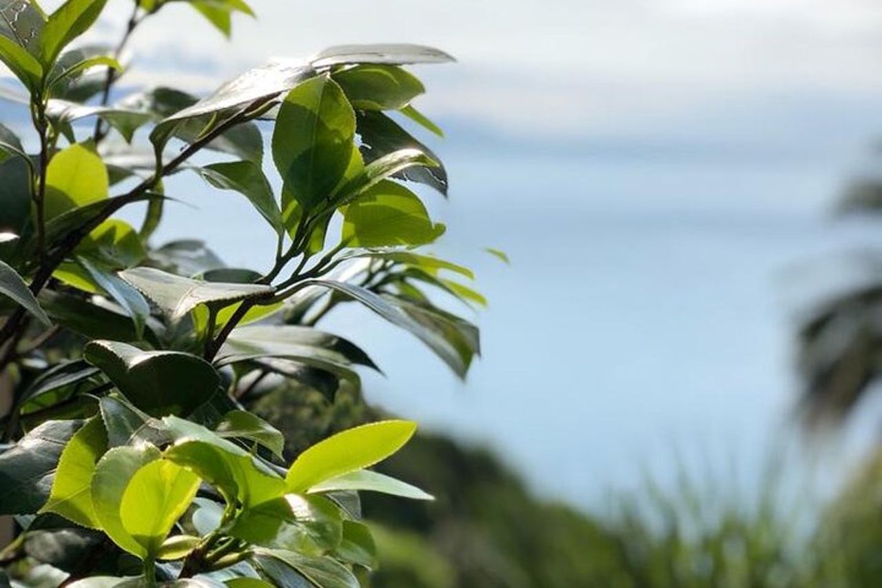 Tour da Genova a Portofino, Santa Margherita e Camogli — 5