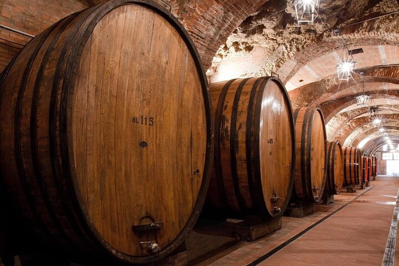 Montepulciano: Visita guidata in cantina e degustazione di vini toscan — 9