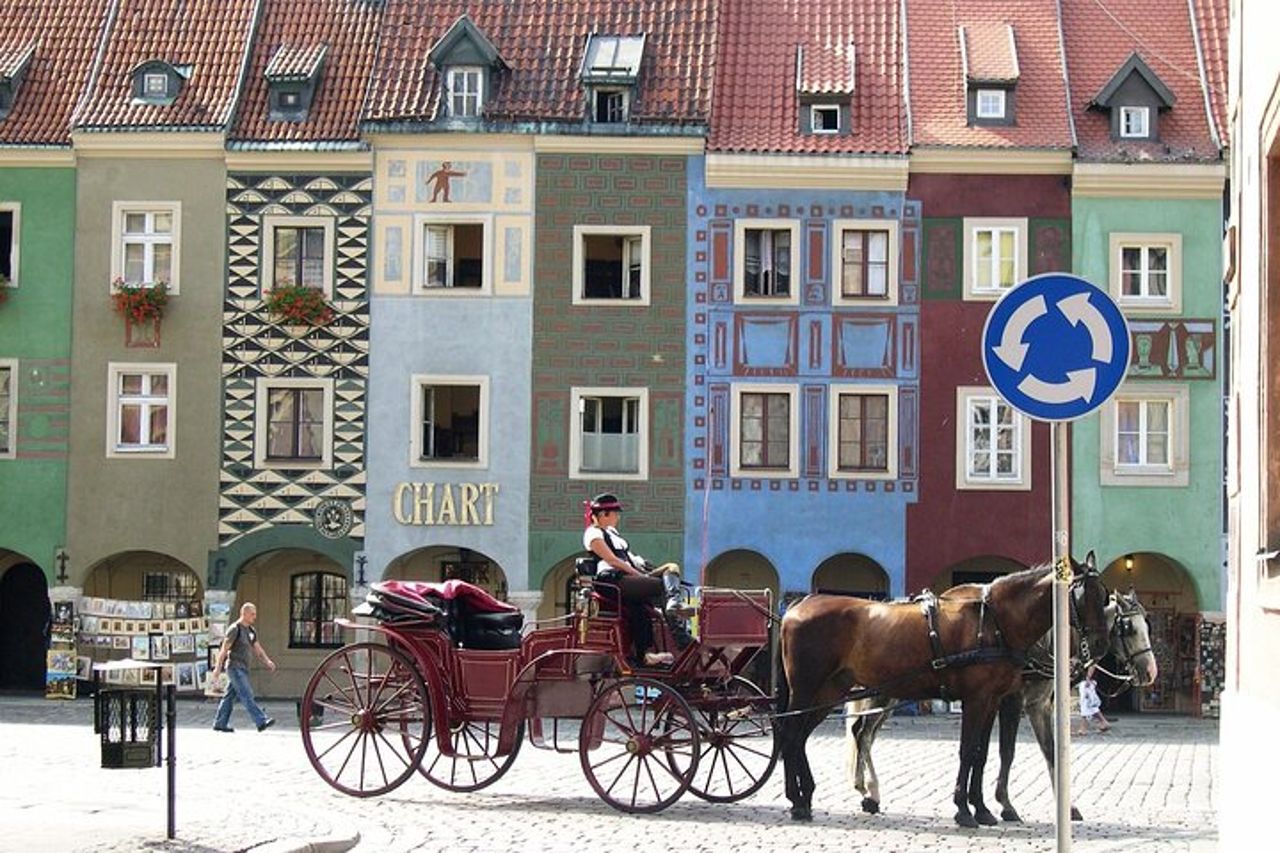 Esplora l'arte e la cultura di Poznan con un locale — 4