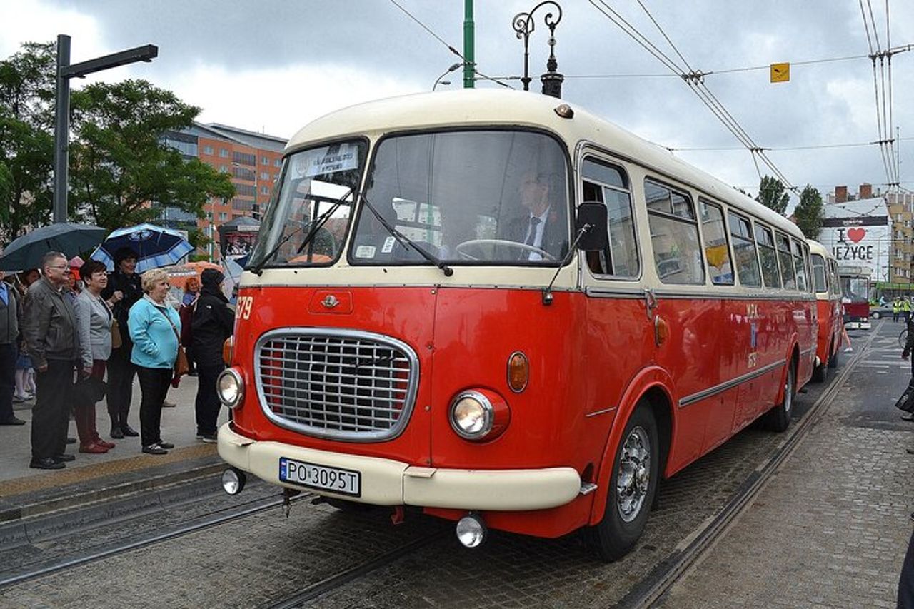 Esplora l'arte e la cultura di Poznan con un locale — 5