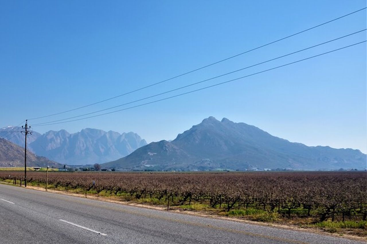 Tour privato: Cerere, Breede River Valley, Big Sky e Big 5 con vino