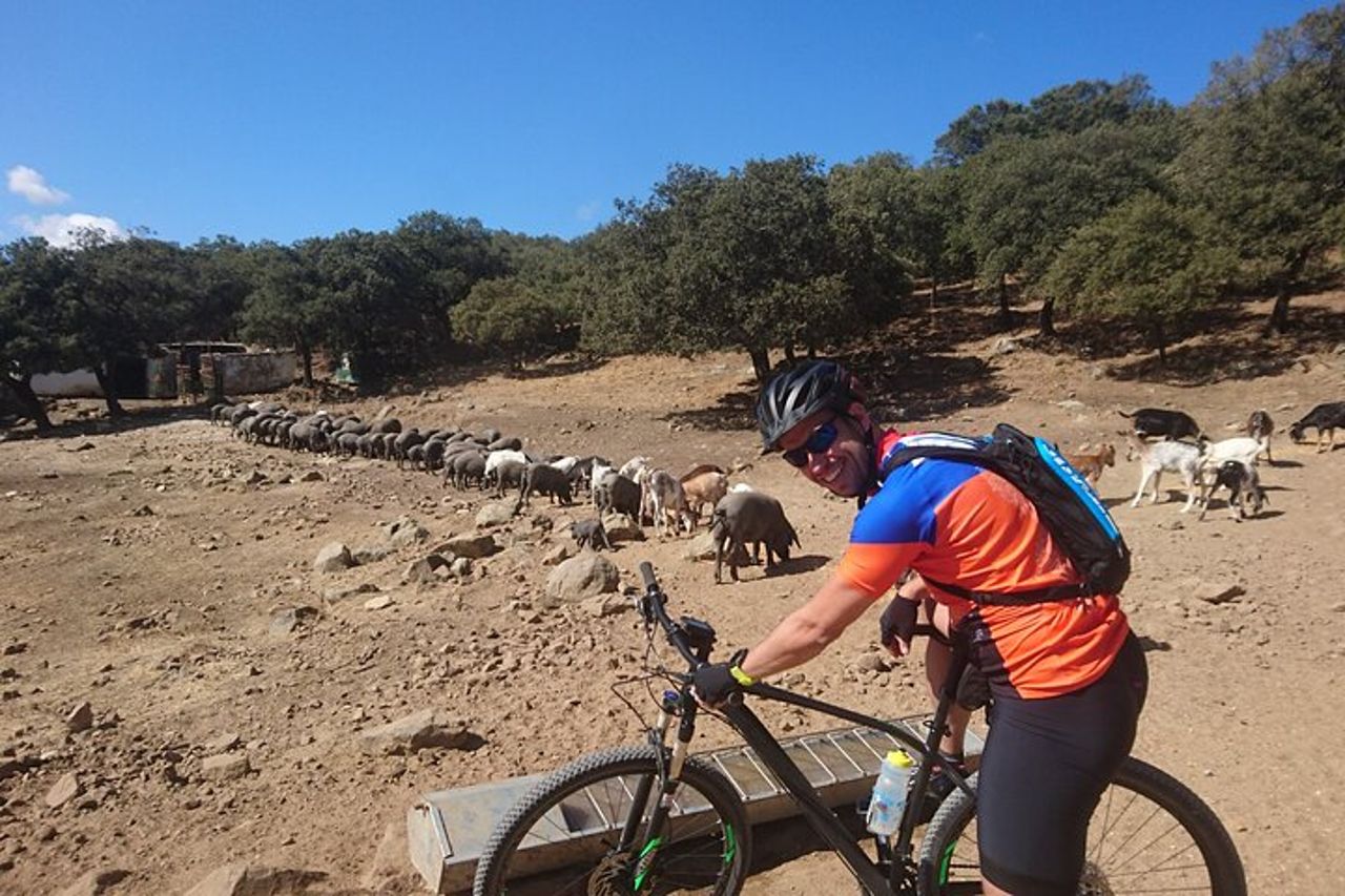 MTB (senza guida) Parco naturale di Grazalema - 45 km Medio — 3