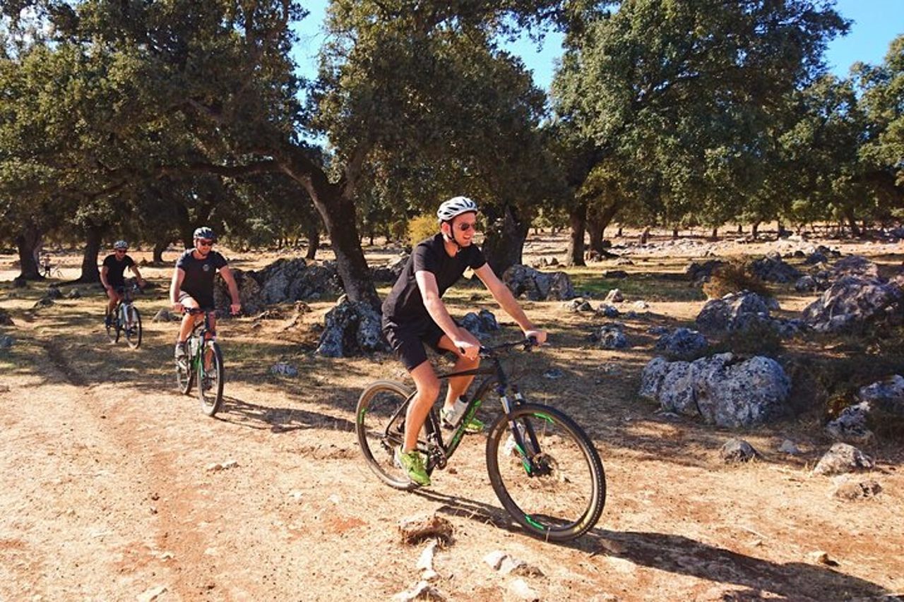 MTB (autoguidato) - Bandits Trail - 45 km intermedio — 3