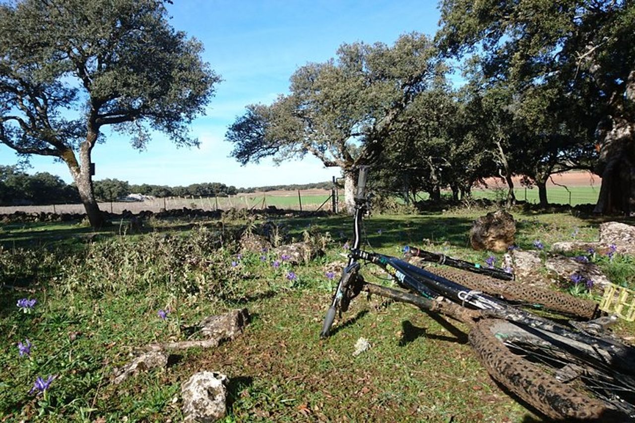 MTB (autoguidato) - Bandits Trail - 45 km intermedio — 6