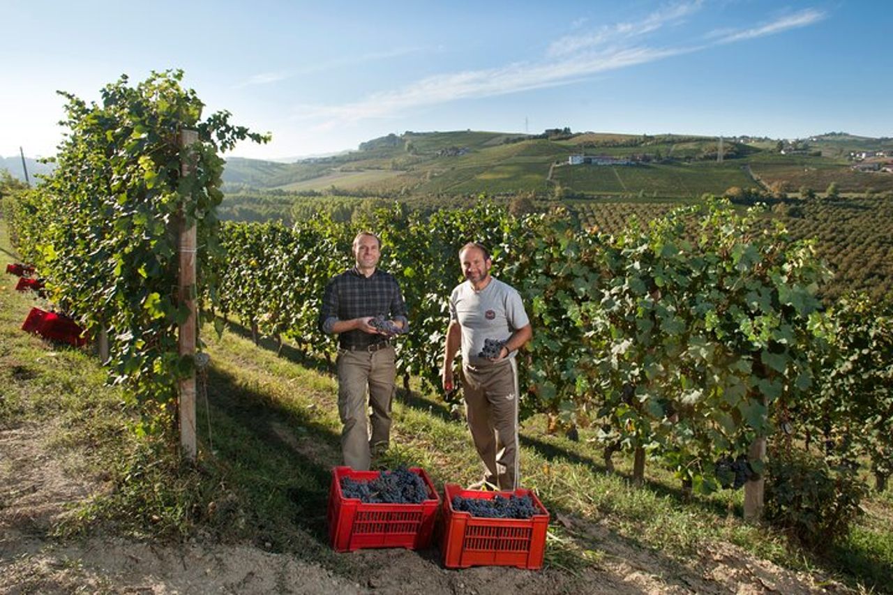 Degustazione di Barbaresco e Barolo presso Cantina Francone — 8
