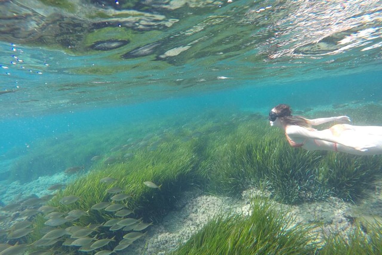 Kayak e snorkeling per le più grandi calas del Parque Natural Cabo de Gata