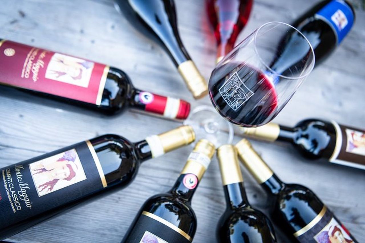 Tour e degustazione presso un'azienda vinicola biologica nel cuore del Chianti Classico — 4