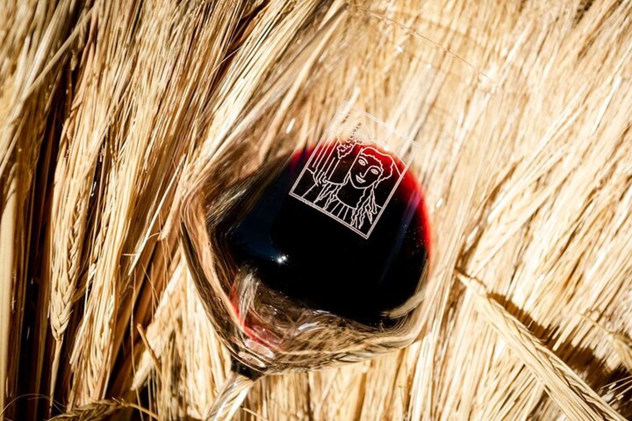 Tour e degustazione presso un'azienda vinicola biologica nel cuore del Chianti Classico — 5