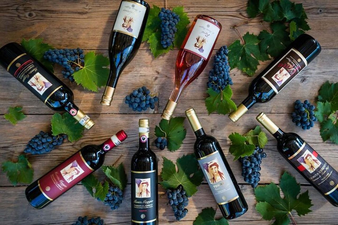 Tour e degustazione presso un'azienda vinicola biologica nel cuore del Chianti Classico — 7