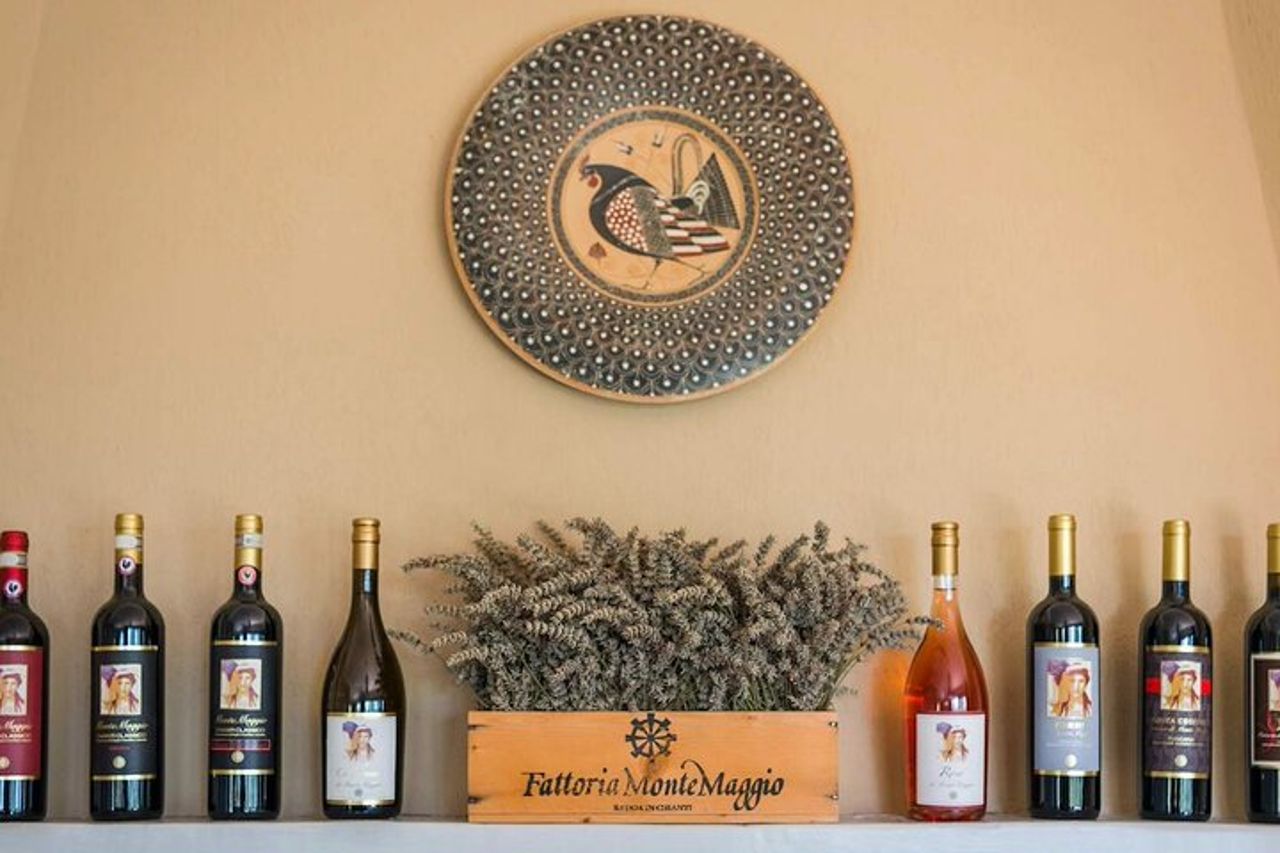 Tour e degustazione presso un'azienda vinicola biologica nel cuore del Chianti Classico — 8