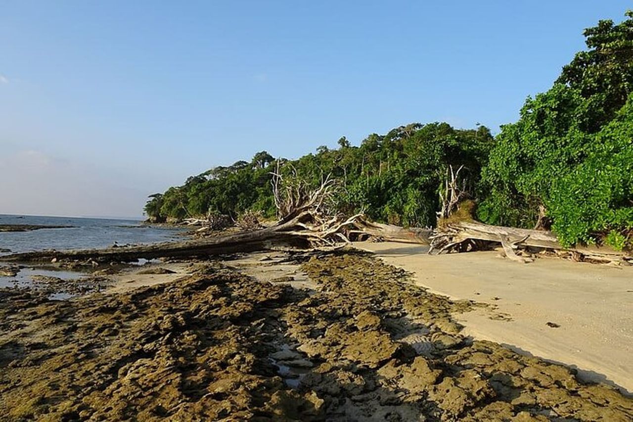 Esplora l'isola di Havelock da Port Blair — 7