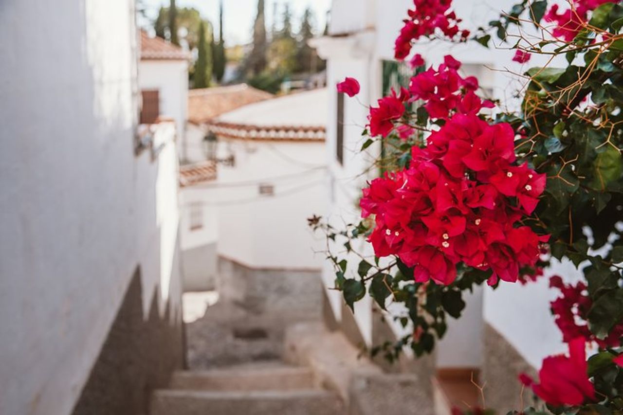 Tour a piedi di Albaicín e Sacromonte — 3
