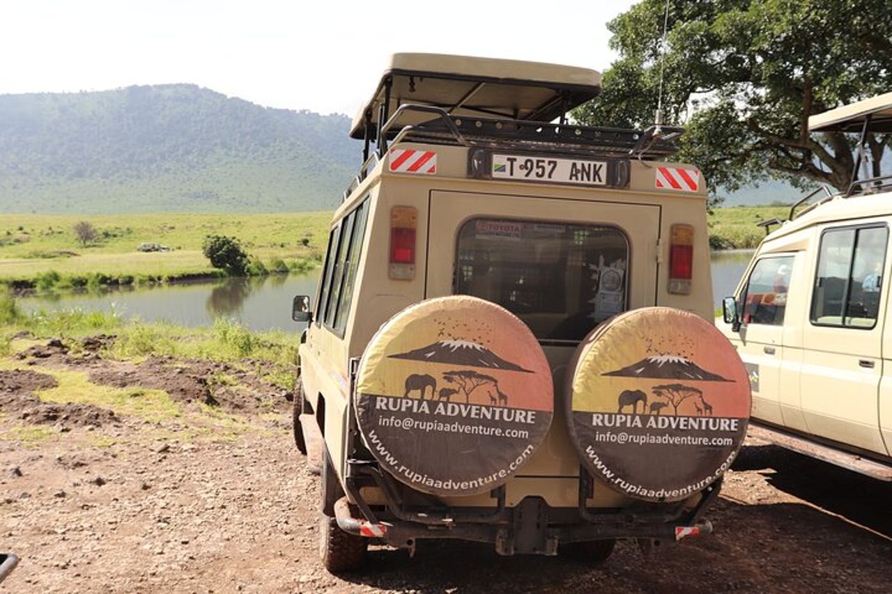 Safari di 3 giorni in Tanzania - Manyara, Ngorongoro e Tarangire — 6