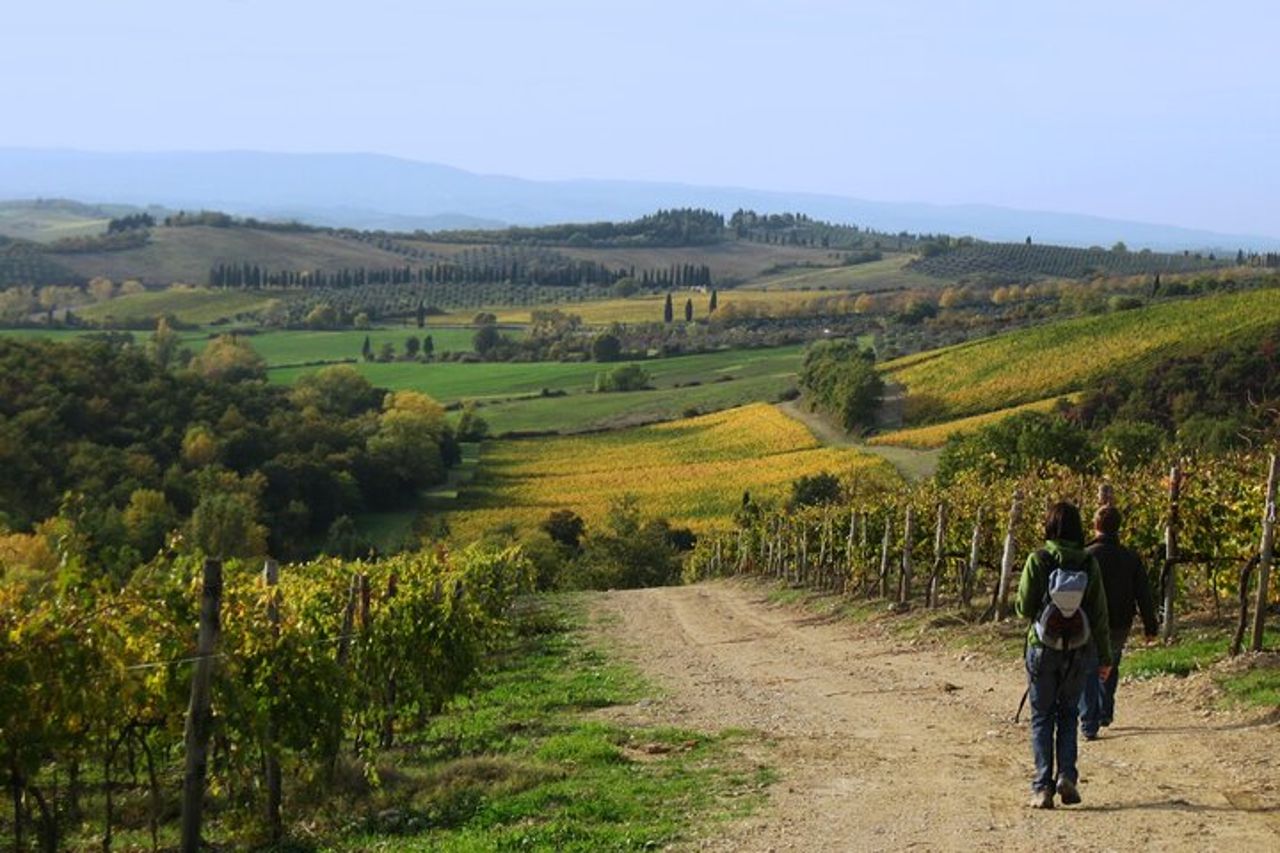 Escursione in Toscana da Siena con degustazione di vini