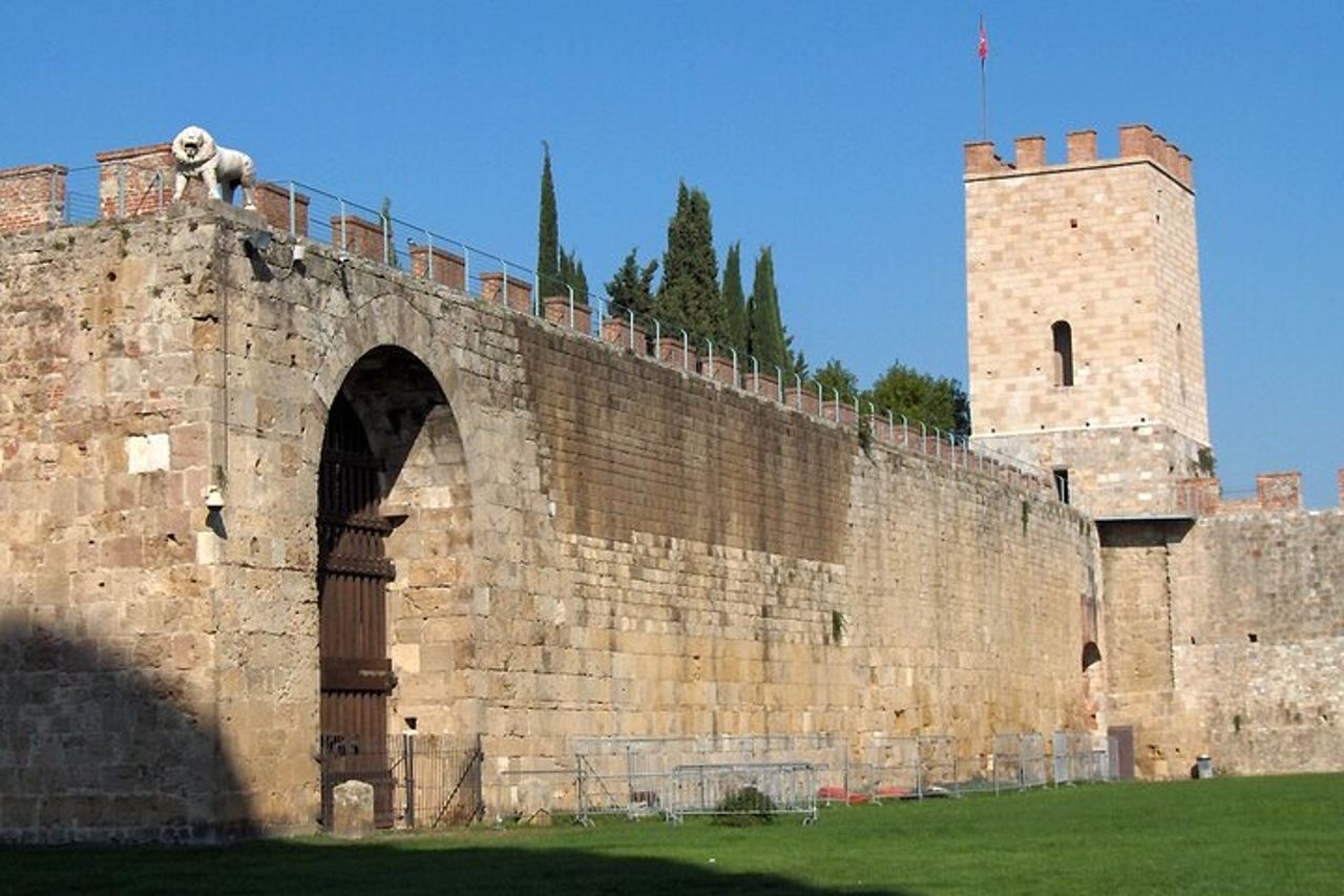 Esperienza enologica privata di Pisa, pasta e Chianti e pranzo da Montecatini — 6