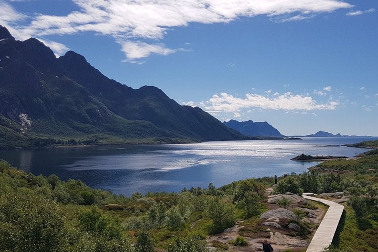 7 giorni - Tour privato della Norvegia / Lofoten e Tromso — 5