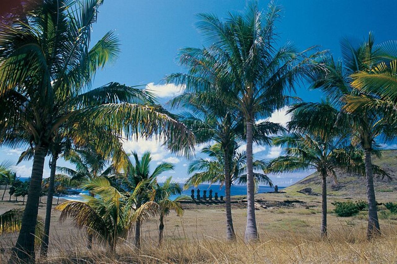 Anakena e Rapa Nui Culture nell'isola di pasqua — 3