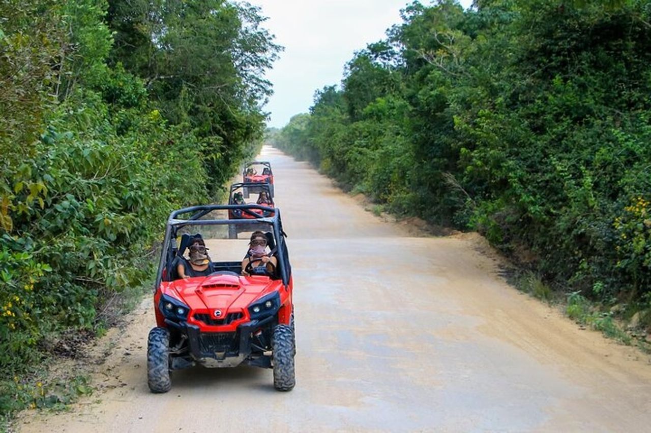 Tour della giungla in Buggy da Playa del Carmen con nuotata nel cenote — 5