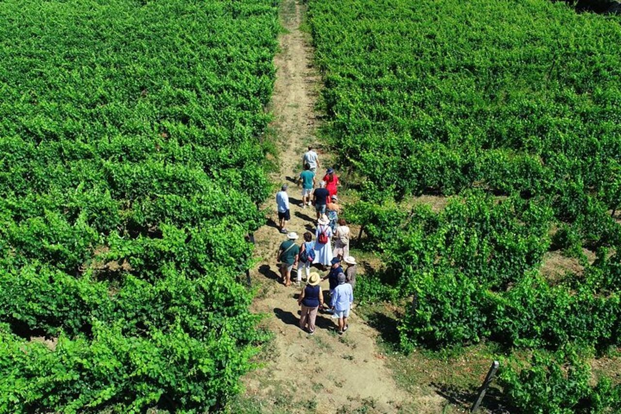 Tour della Valle del Douro - 3 degustazioni di vini, pranzo e crociera sul fiume — 2