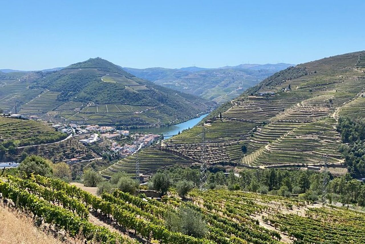 Tour della Valle del Douro - 3 degustazioni di vini, pranzo e crociera sul fiume — 6