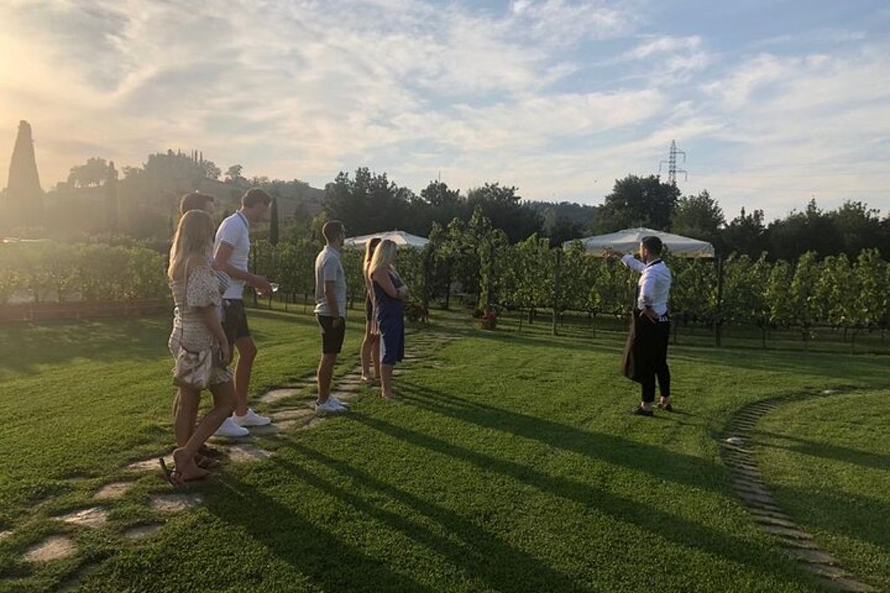 Heart of Chianti Classico - Pranzo con 2 cantine incluso - Chianti Wine Tour — 9