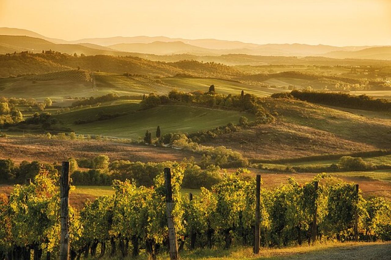 Tour del brunello di Montalcino da San Gimignano — 7