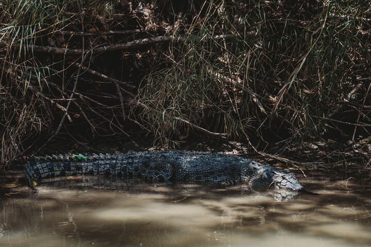 Kakadu Day Tour da Darwin con Offroad Dreaming — 7