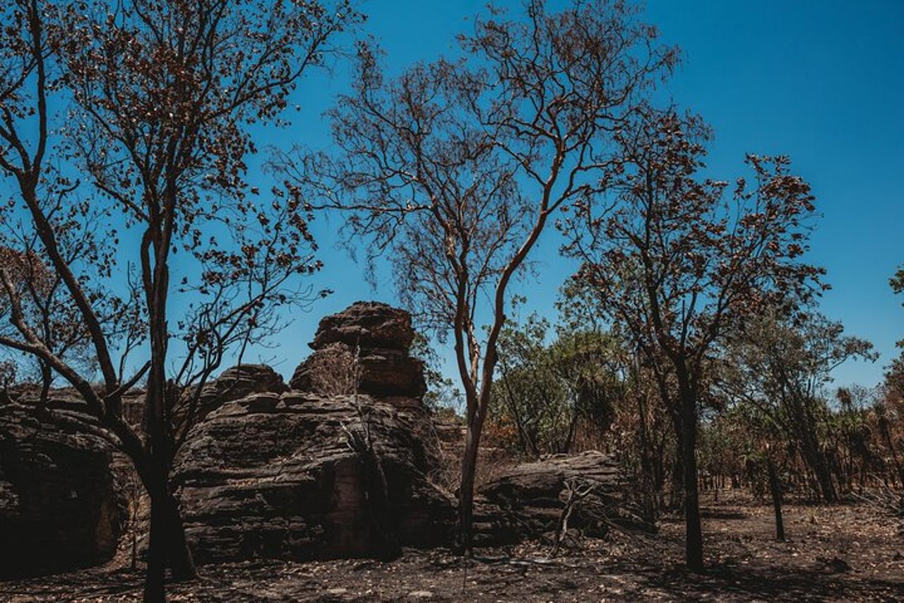 Kakadu Day Tour da Darwin con Offroad Dreaming — 5