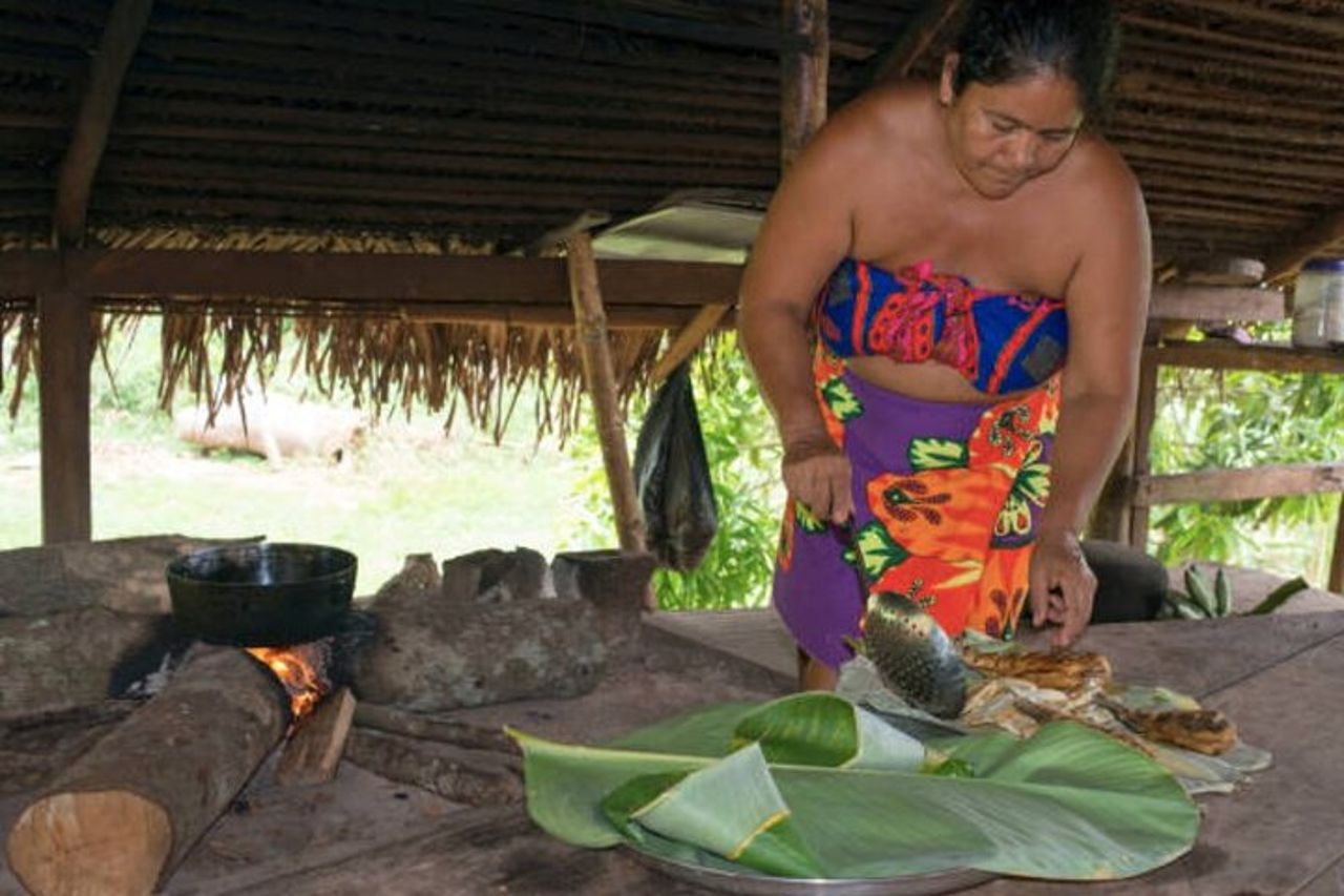 Colon Panama: Embera Indians e Miraflores Locks — 6