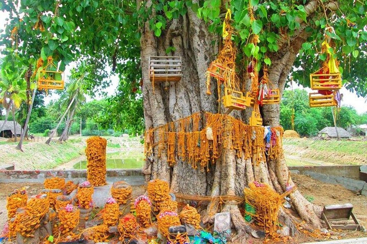 Esplora Navagraha Templi di Marte, Mercurio e Ketu da Trichy — 7