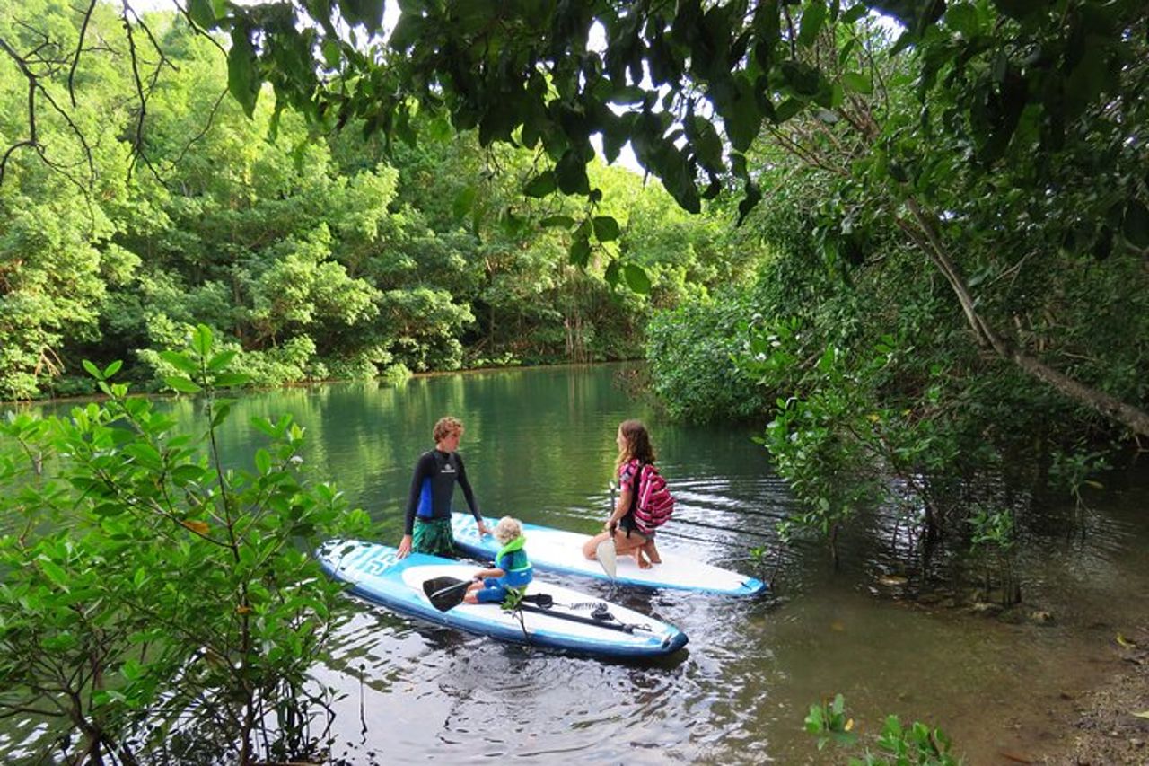 Avventura in Stand Up Paddle in Guadalupa