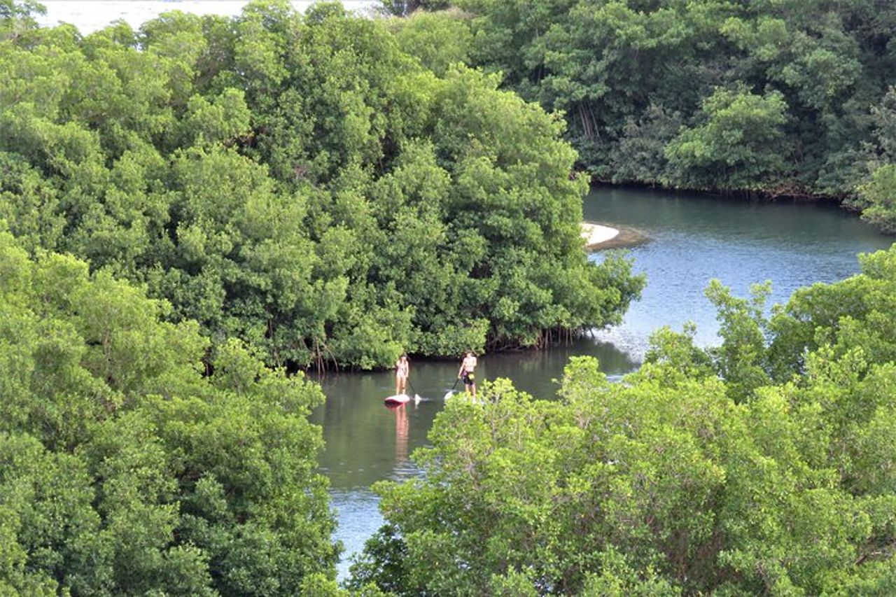 Avventura in Stand Up Paddle in Guadalupa — 2