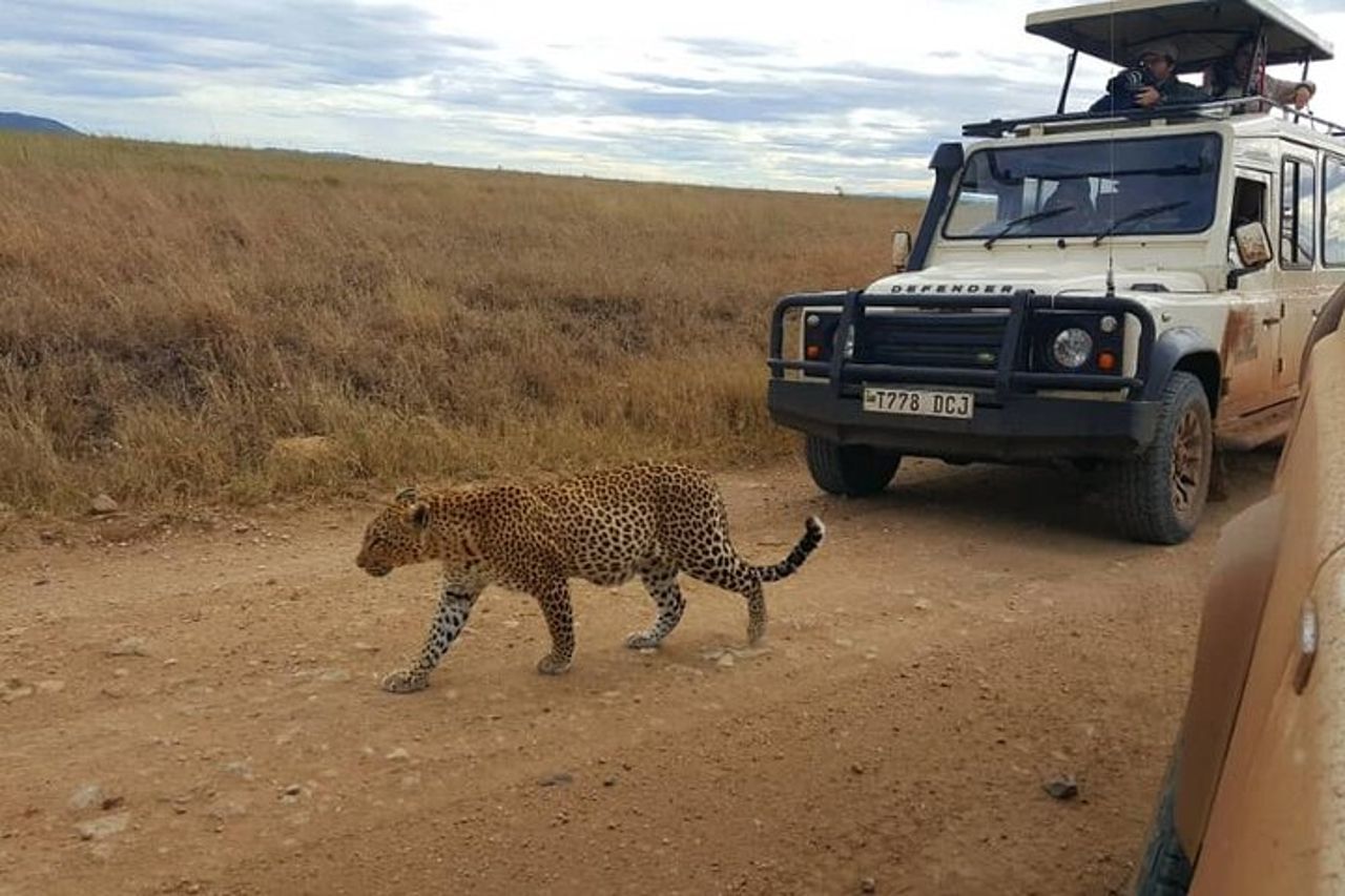 Safari in gruppo di 5 giorni in Tanzania, Tarangire/Serengeti/Ngorongoro Crater — 9