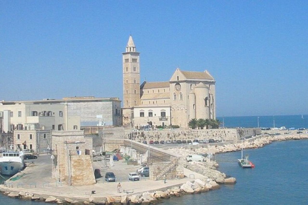 Visita a Trani e Castel del Monte con degustazione di vini da Bari o Ostuni — 4