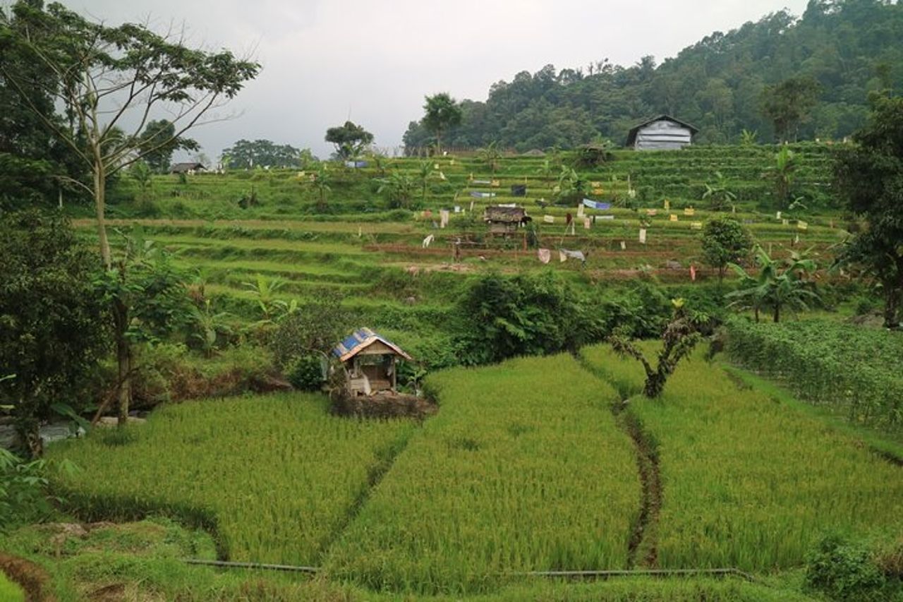 La natura curativa della campagna di Bandung — 4