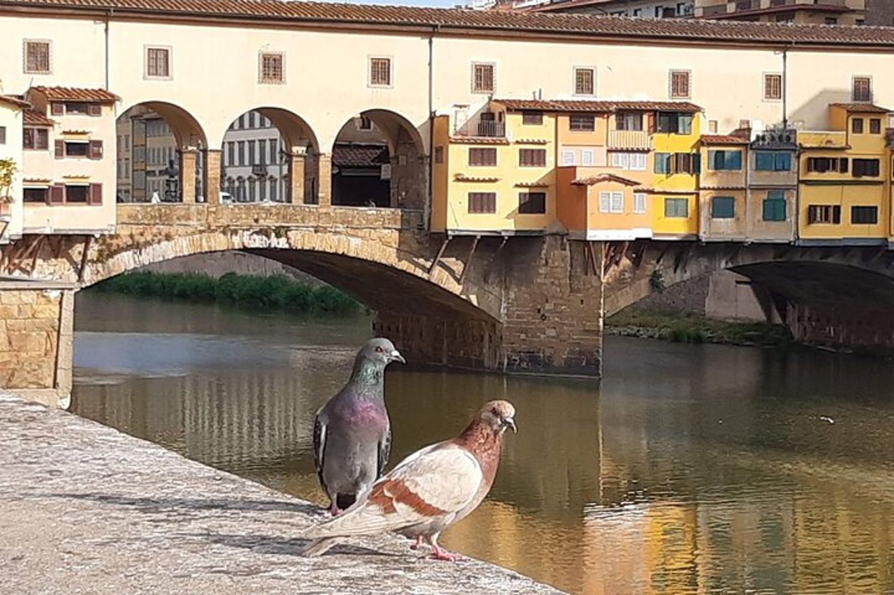 Arte e Storia a Firenze: tour a piedi per piccoli gruppi — 2