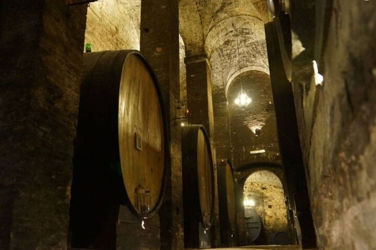 Tour e Degustazione in Una delle Cantine più Belle del Mondo — 6
