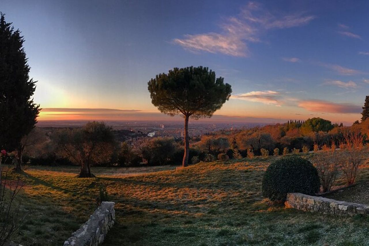 Degustazione di Vini con Vista Panoramica — 3