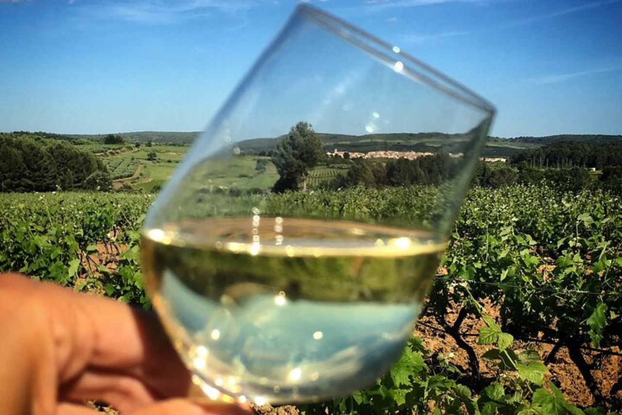 Tour enologico privato della Linguadoca di mezza giornata da Sète — 9