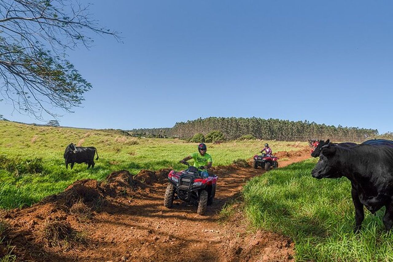 Umauma Falls Deluxe ATV Cascate ed esperienza di nuoto — 4