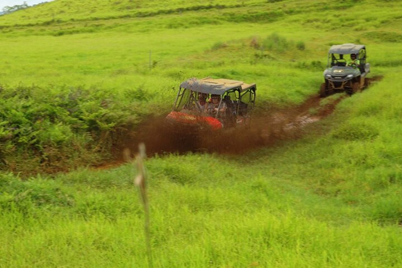 Umauma Falls Deluxe ATV Cascate ed esperienza di nuoto — 8