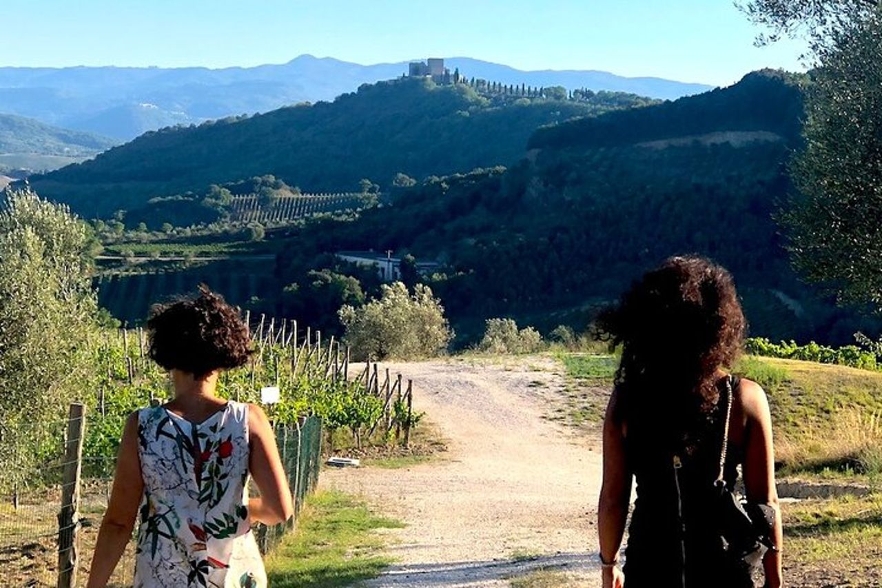 Tour di lusso del Brunello — 7