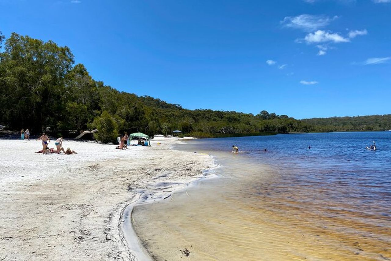 Tour avventura nella fauna selvatica di North Stradbroke Island da Brisbane — 3