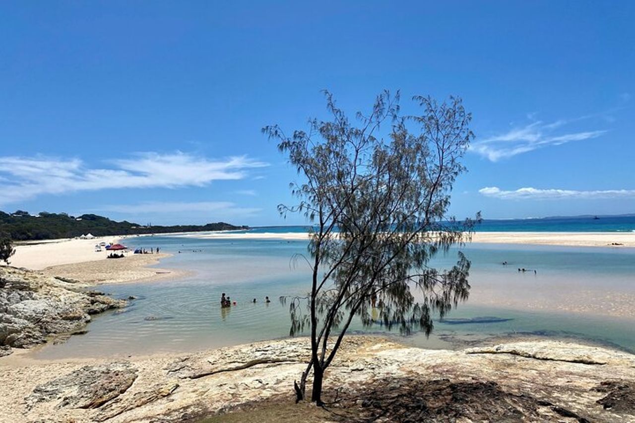 Tour avventura nella fauna selvatica di North Stradbroke Island da Brisbane — 4